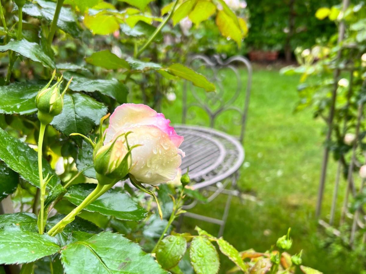 La Finestra Sul Giardino - B&B Cavedine 外观 照片